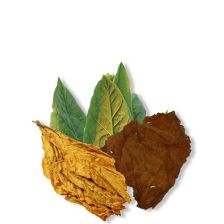 Fragrance Oil - Tobacco