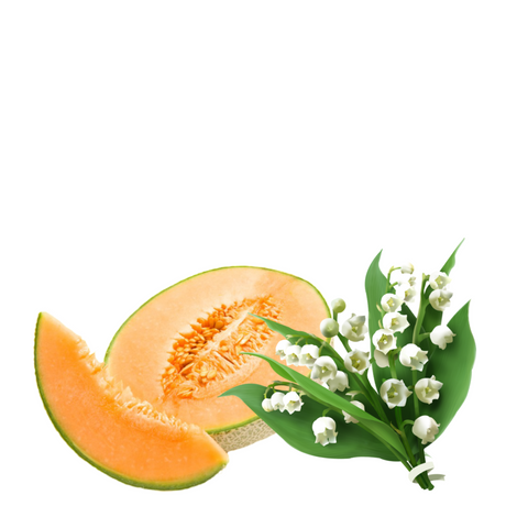Fragrance Oil - Cantaloupe & Lily