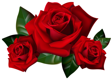Incense - Backflow Cones - Roses - 8 Cones