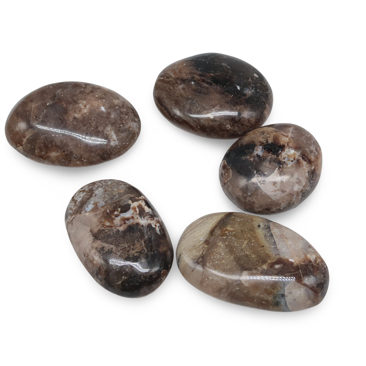 Palm Stone - Black Opal - Tumbled