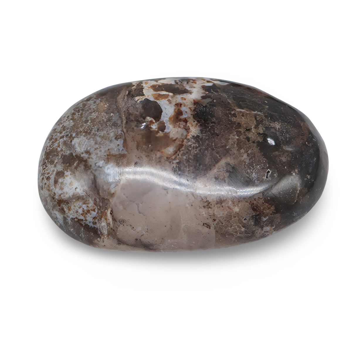 Palm Stone - Black Opal - Tumbled