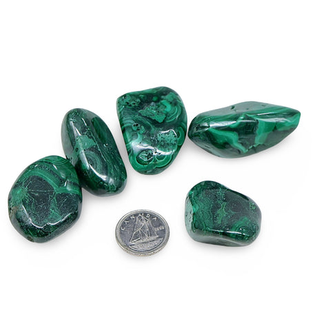 Stone - Malachite - Tumbled - 20g to 30g