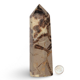 Stone - Crystal Point - Septarian - Tumbled