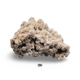 Stone - Desert Rose - 3795g Specimen