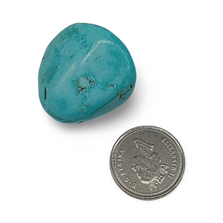 Stone - Blue Howlite - Tumbled