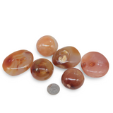 Palm Stone - Carnalian Grade A - Tumbled