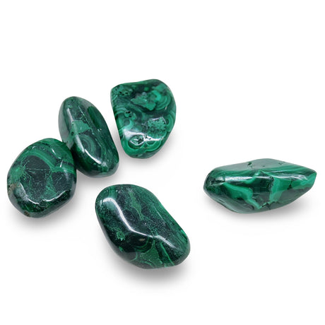 Stone - Malachite - Tumbled - 20g to 30g