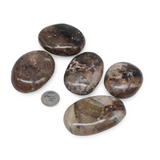 Palm Stone - Black Opal - Tumbled