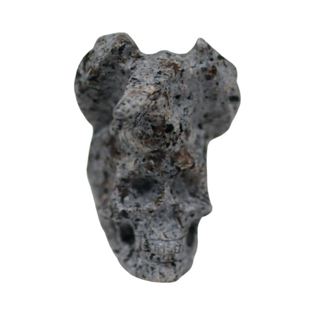 Stone - Natural Syenite Crystal - Sculpture - Skull