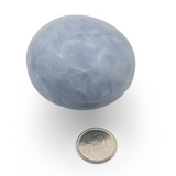 Palm Stone - Blue Calcite - Tumbled - 112g