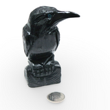 Spirit Animal - Carved Stone - Extra Large Peruvian Black Onyx - Raven