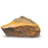 Stone - Bumblebee Jasper Slice - Rough with Tumbled Face
