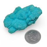 Stone - Chrysocolla Peruvian - 9g Specimen