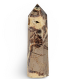 Stone - Crystal Point - Septarian - Tumbled