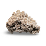 Stone - Desert Rose - 3795g Specimen