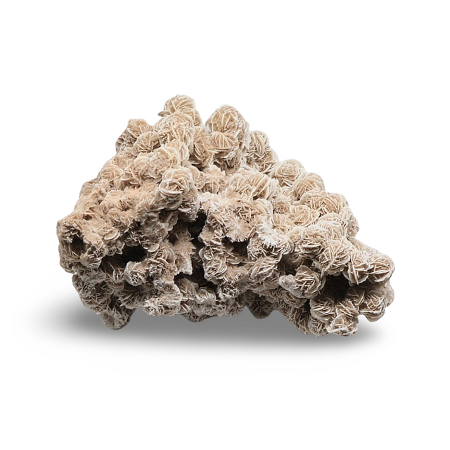 Stone - Desert Rose - 3795g Specimen