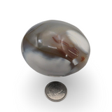 Palm Stone - Orca Agate - Tumbled - 125g