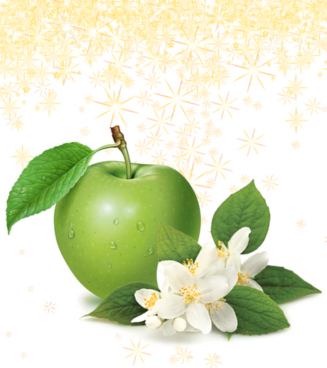 Fragrance Oil - Sparkling Clean 500 ml