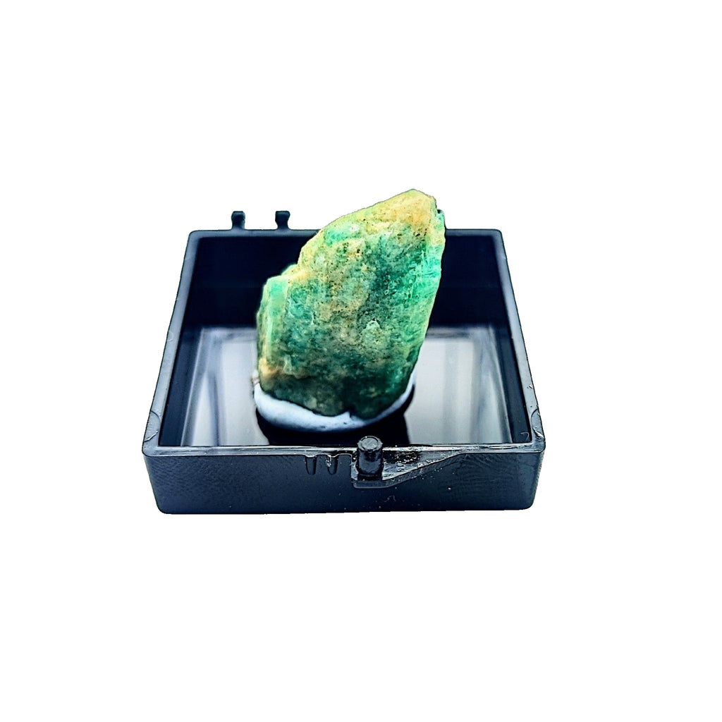 Collection Piece -Display Box -Amazonite -Rough -Mozambique -Collection Piece -Aromes Evasions 