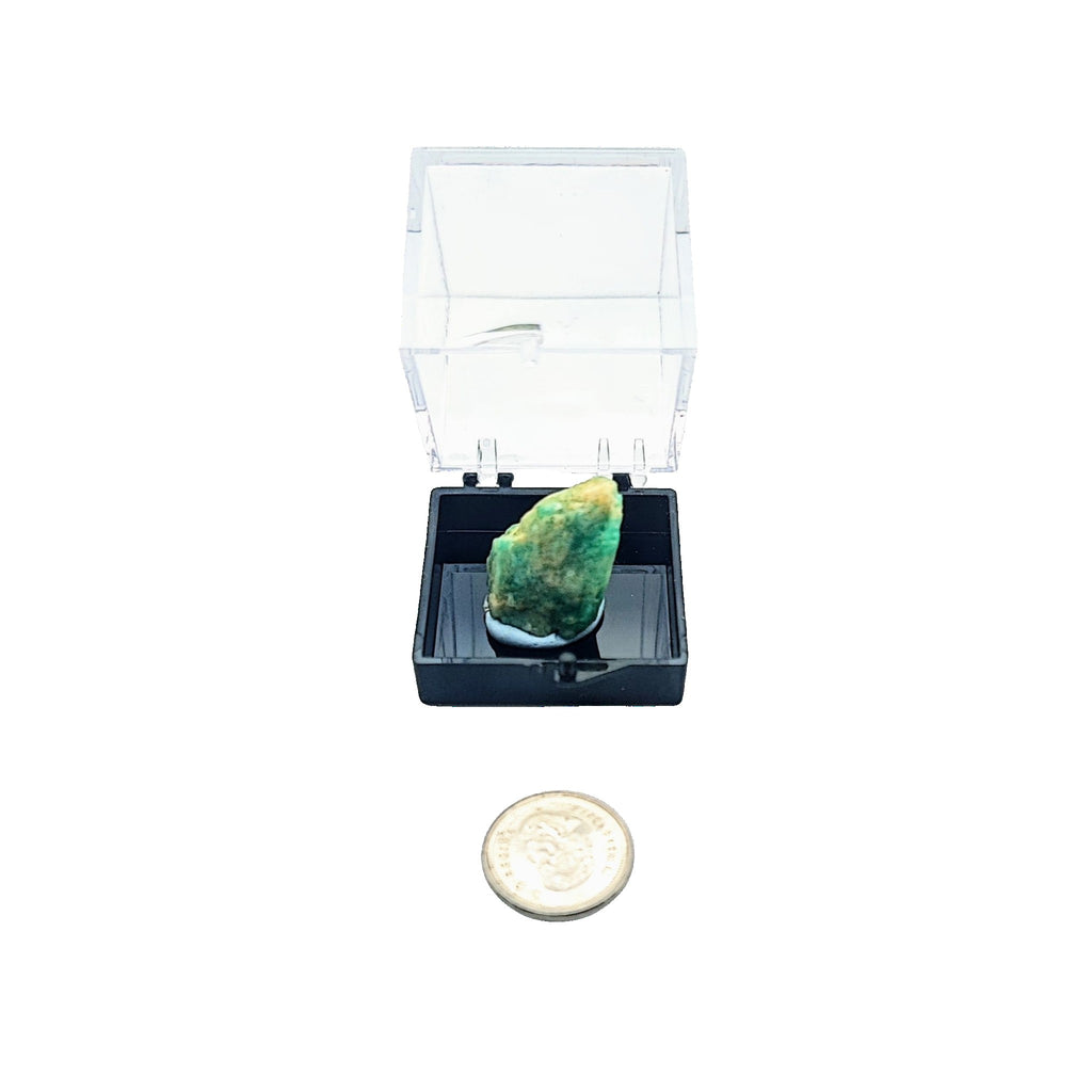 Collection Piece -Display Box -Amazonite -Rough -Mozambique