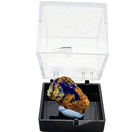 Collection Piece -Display Box -Azurite -Rough -Yunnan