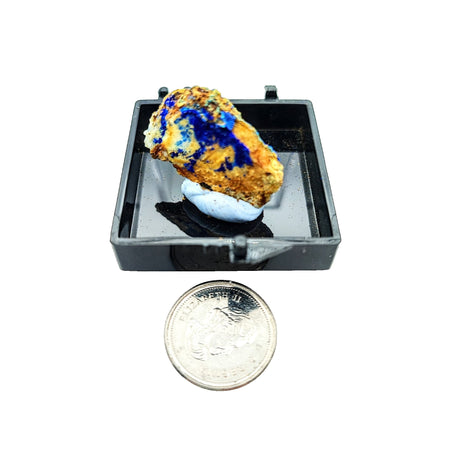 Collection Piece -Display Box -Azurite -Rough -Yunnan