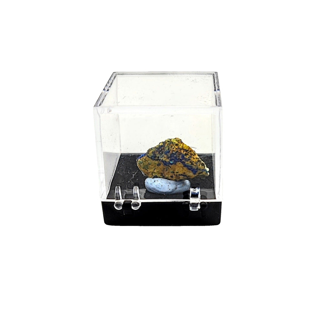 Collection Piece -Display Box -Azurite -Rough -Yunnan