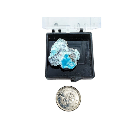 Collection Piece -Display Box -Cyanotrichite -Rough -Guizhou