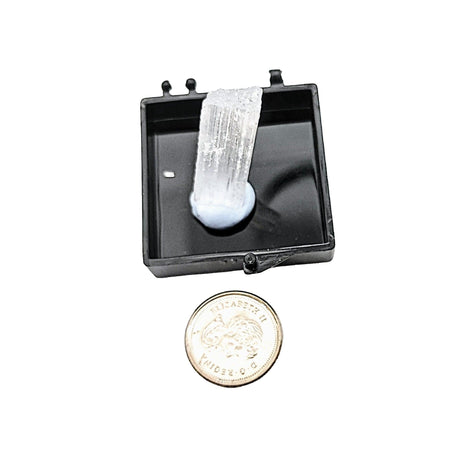 Collection Piece -Display Box -Gypsum -Rough -Morroco