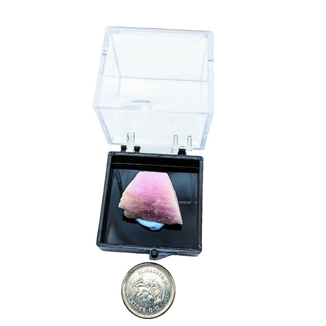 Collection Piece -Display Box -Kunzite -Rough -Pakistan