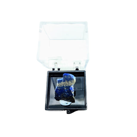 Collection Piece -Display Box -Lapis Lazuli -Rough -Afghanistan