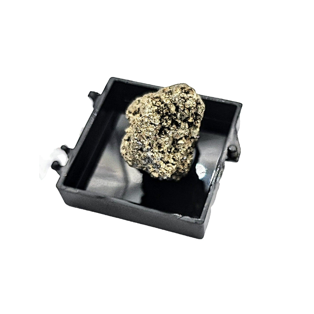 Collection Piece -Display Box -Pyrite -Rough -Peru