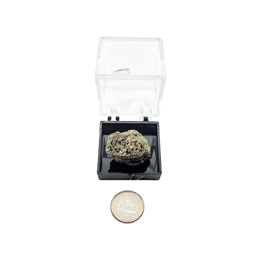 Collection Piece -Display Box -Pyrite -Rough -Peru