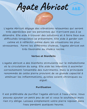 Descriptive Cards -Precious Stones & Crystals -Apricot Agate Default Title
