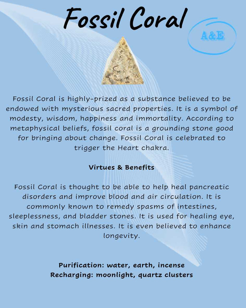 Descriptive Cards -Precious Stones & Crystals -Fossil Coral Arômes & Évasions.