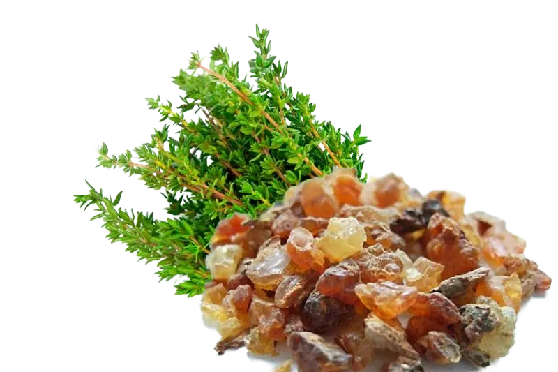 Essential Oil - Myrrh (Commiphora Myrrha) 500 ml 18 oz