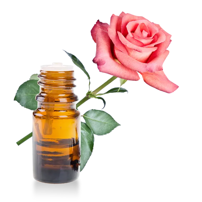 Essential Oil -Damask Rose Absolute (Rosa Damascena) 500 ml