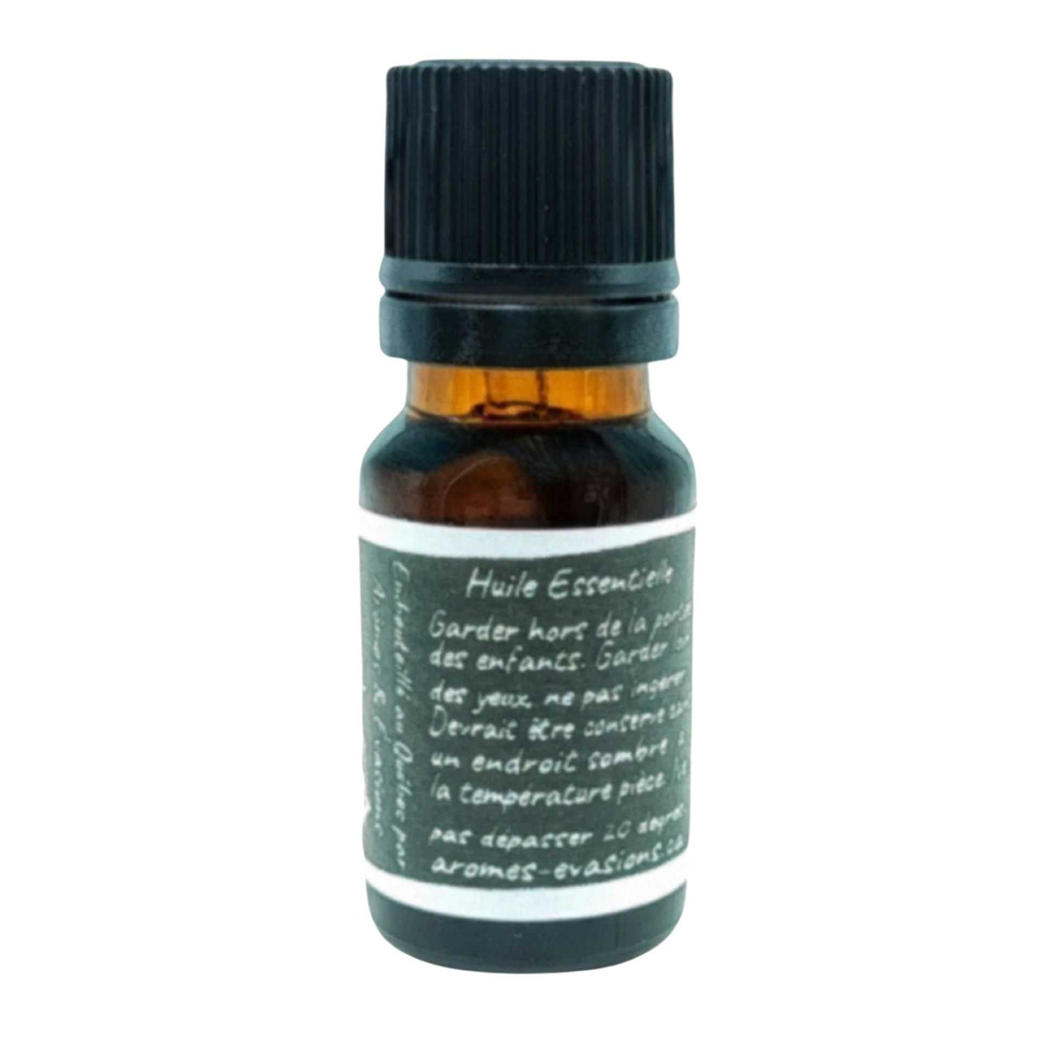 Essential Oil - Blue Tansy (Tanacetum Annuum)