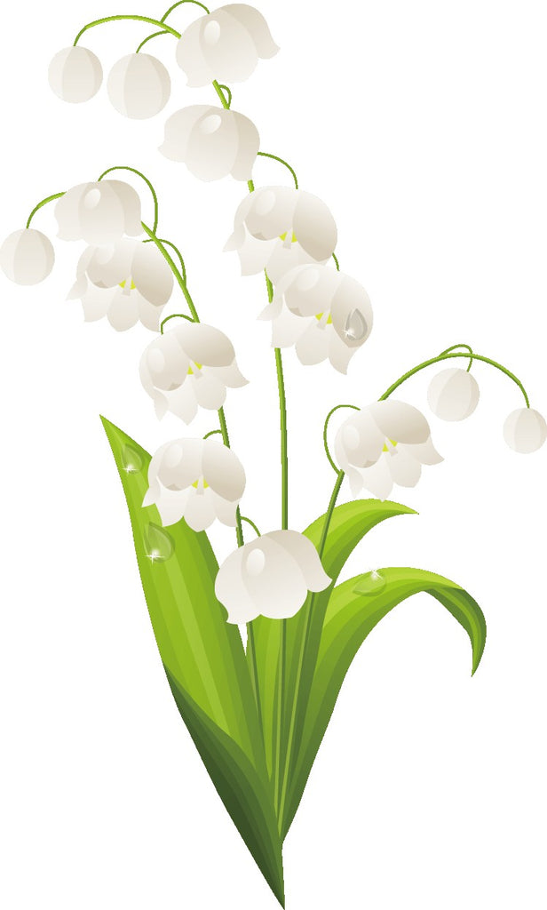 Fragrance Oil -Lily of the Valley 500 ml