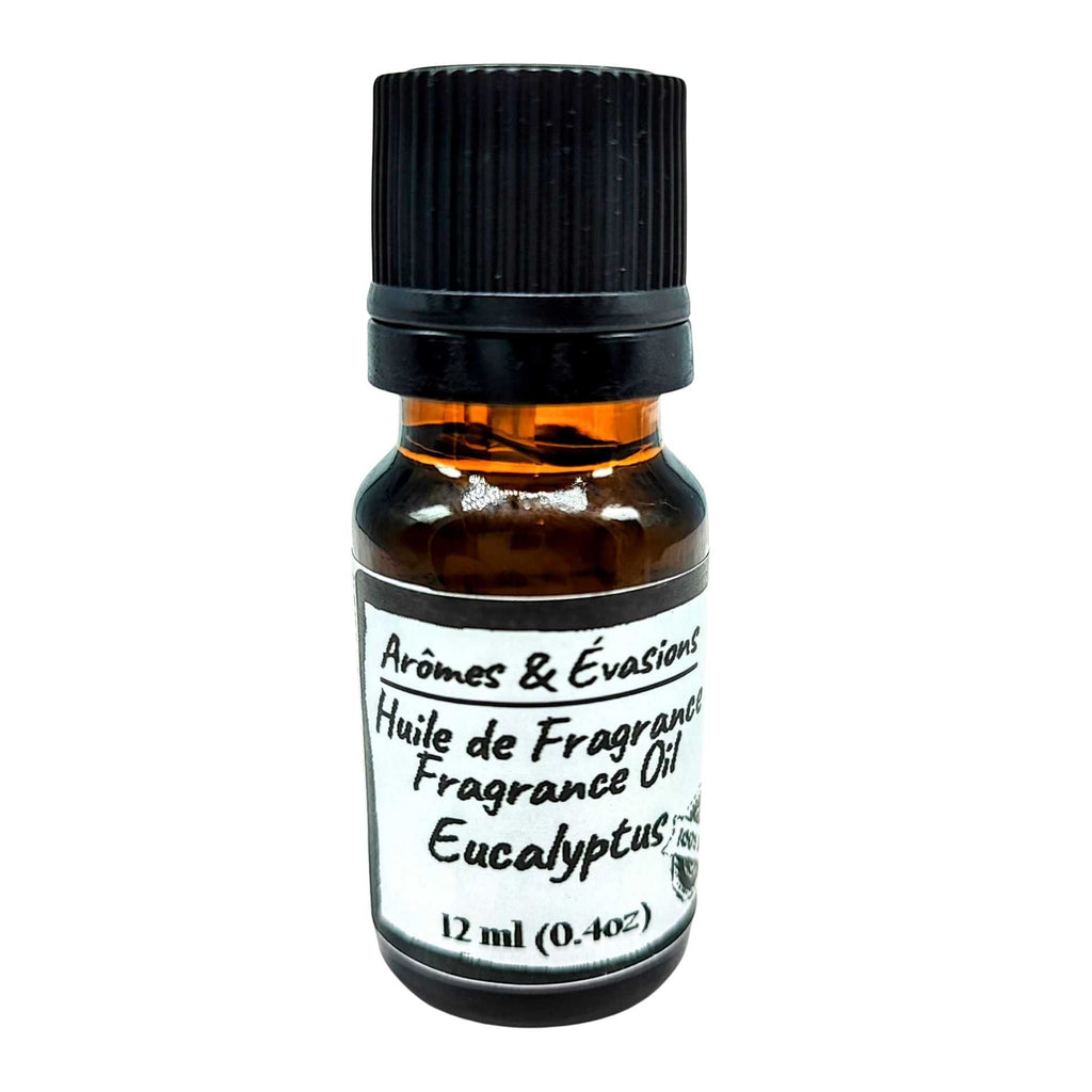 Fragrance Oil -Eucalyptus 12 ml
