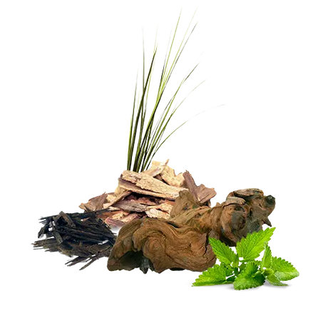 Fragrance Oil - Musk 500 ml