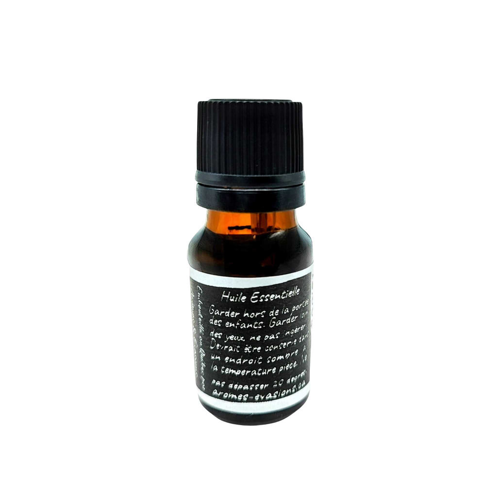 Fragrance Oil -Premium Collection -Woody 'n Sweet