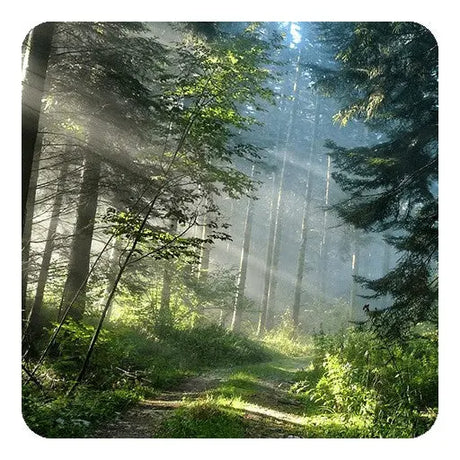 Fragrance Oil - Trail Hike 500 ml