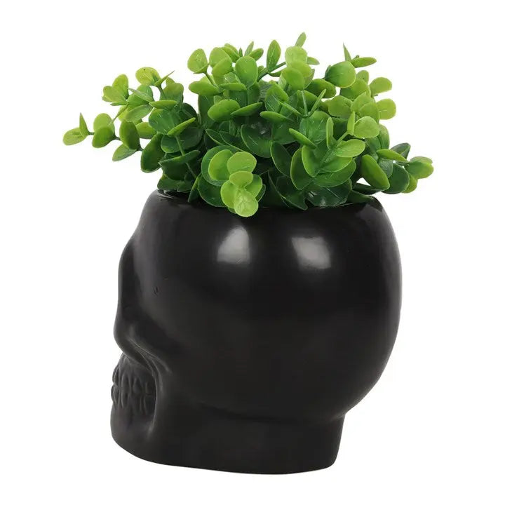Home Decor -Plant Pot -Black Skull