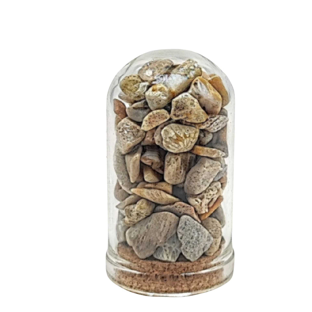Home Decor -Small Decorative Bell -Fossil Coral -15ml