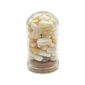 Home Decor -Small Decorative Bell -Mother of Pearl -15ml
