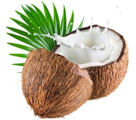 Incense Sticks - Coconut - Pack of 10