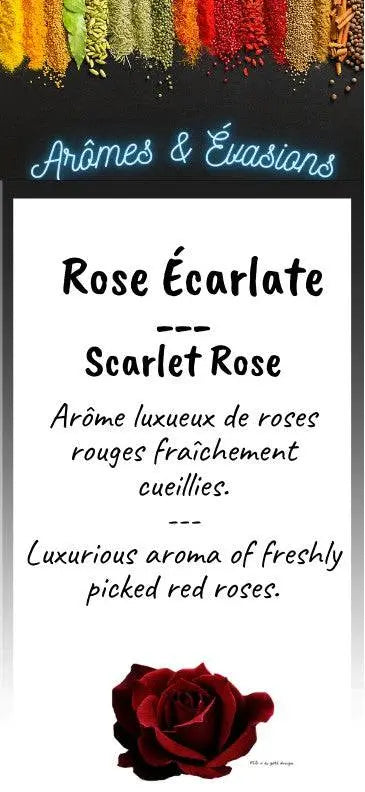 Incense Box -Scarlet Rose -10 Sticks