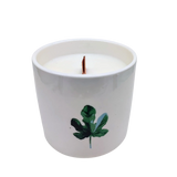 Scented Soy Candle - Botanical Garden - Japanese Garden Green Leaf 1