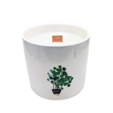 Scented Soy Candle - Botanical Garden - Marsh Viola Plant